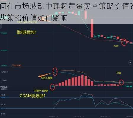 如何在市场波动中理解黄金买空策略价值？这些策略价值如何影响
风险？