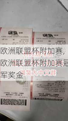 欧洲联盟杯附加赛,欧洲联盟杯附加赛冠军奖金