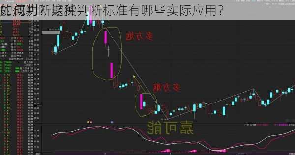 如何判断期货
的成功？这种判断标准有哪些实际应用？