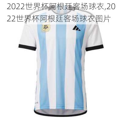 2022世界杯阿根廷客场球衣,2022世界杯阿根廷客场球衣图片