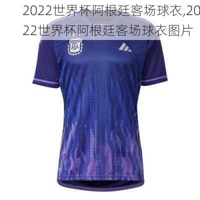 2022世界杯阿根廷客场球衣,2022世界杯阿根廷客场球衣图片