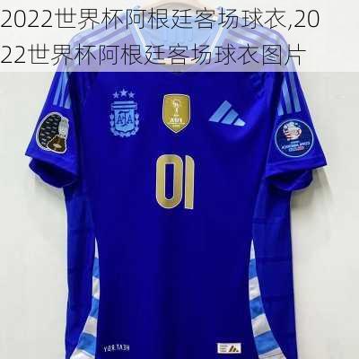 2022世界杯阿根廷客场球衣,2022世界杯阿根廷客场球衣图片