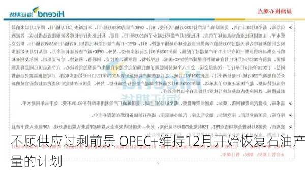 不顾供应过剩前景 OPEC+维持12月开始恢复石油产量的计划