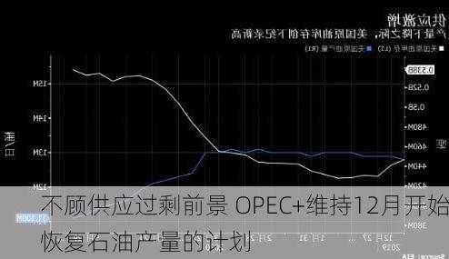 不顾供应过剩前景 OPEC+维持12月开始恢复石油产量的计划