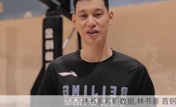 林书豪首钢数据,林书豪 首钢