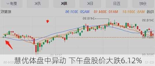 慧优体盘中异动 下午盘股价大跌6.12%