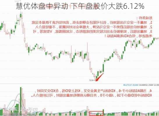 慧优体盘中异动 下午盘股价大跌6.12%