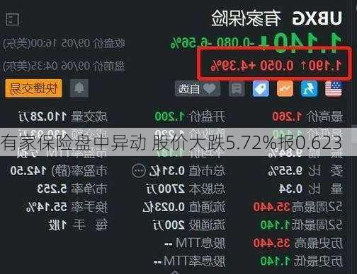 有家保险盘中异动 股价大跌5.72%报0.623
