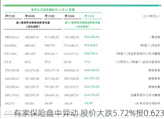 有家保险盘中异动 股价大跌5.72%报0.623
