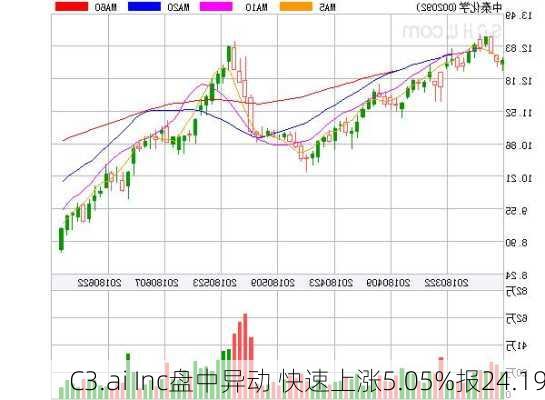 C3.ai Inc盘中异动 快速上涨5.05%报24.19
