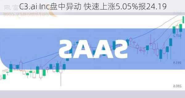 C3.ai Inc盘中异动 快速上涨5.05%报24.19
