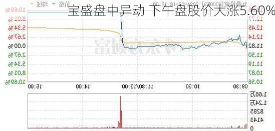 宝盛盘中异动 下午盘股价大涨5.60%