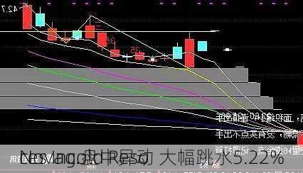 Novagold Reso
ces Inc.盘中异动 大幅跳水5.22%