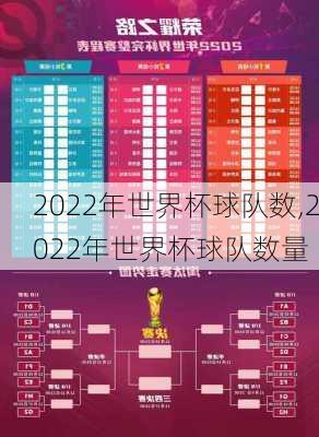 2022年世界杯球队数,2022年世界杯球队数量