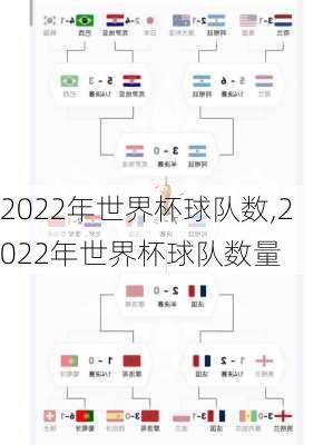 2022年世界杯球队数,2022年世界杯球队数量