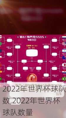 2022年世界杯球队数,2022年世界杯球队数量