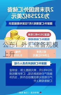 
公布！外汇储备规模上升