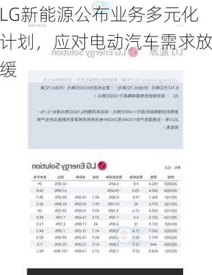 LG新能源公布业务多元化计划，应对电动汽车需求放缓