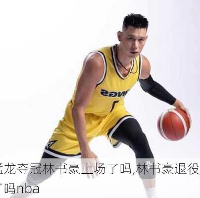 猛龙夺冠林书豪上场了吗,林书豪退役了吗nba