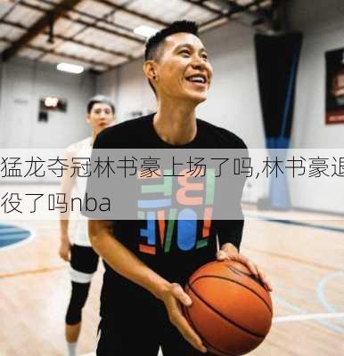 猛龙夺冠林书豪上场了吗,林书豪退役了吗nba