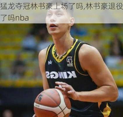 猛龙夺冠林书豪上场了吗,林书豪退役了吗nba