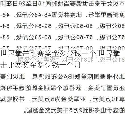 世界拳击比赛奖金多少钱一个,世界拳击比赛奖金多少钱一个月