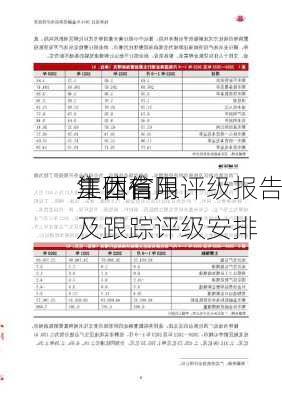 江西省
集团有限
主体信用评级报告及跟踪评级安排