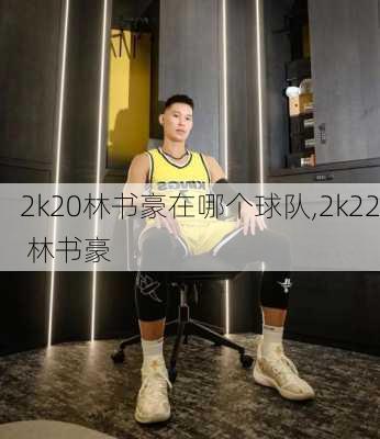 2k20林书豪在哪个球队,2k22 林书豪