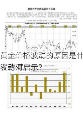 黄金价格波动的原因是什么？这种波动对
者有何启示？