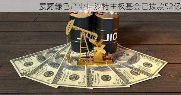 发力绿色产业！沙特主权基金已拨款52亿
于环保
