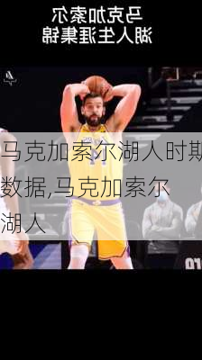 马克加索尔湖人时期数据,马克加索尔 湖人