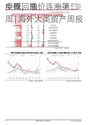 中概回撤，
反弹，油价连涨第二周 | 海外大类资产周报