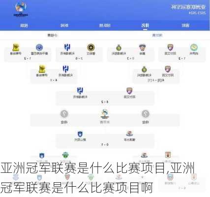 亚洲冠军联赛是什么比赛项目,亚洲冠军联赛是什么比赛项目啊