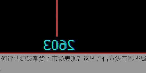 如何评估纯碱期货的市场表现？这些评估方法有哪些局限
？