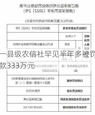 一县级农信社罕见半年多被罚款333万元