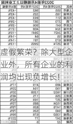 虚假繁荣？除大型企业外，所有企业的利润均出现负增长！