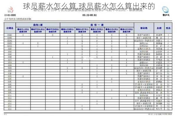 球员薪水怎么算,球员薪水怎么算出来的