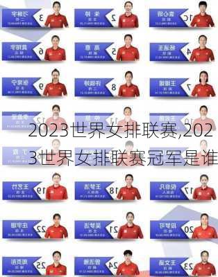 2023世界女排联赛,2023世界女排联赛冠军是谁