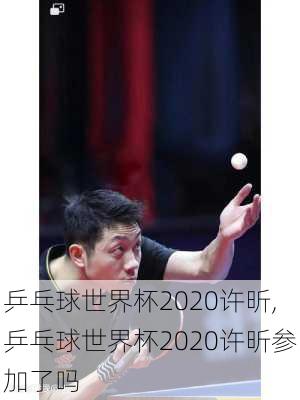 乒乓球世界杯2020许昕,乒乓球世界杯2020许昕参加了吗