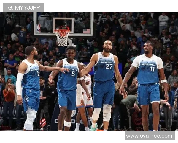 泰勒最终决定放弃上诉完成15亿美元交易全资出售森林狼与山猫球队